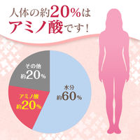 アニマリンL錠 100錠入 大正製薬 滋養強壮 虚弱体質 肉体疲労【第3類医薬品】