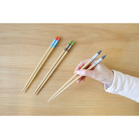 ワールド・クリエイト 箸 22.5cm ムーミンやしき 木製 428360 1個（直送品）