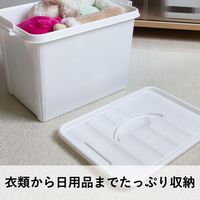 【収納ボックス】 ユメミグサ 取っ手付き収納ボックス ホワイト(白)22L PD-71-3 1個