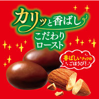 チョコレート菓子 アーモンドチョコレート　カリッと香ばしアーモンド　ポップジョイ　43g 1セット（1個×6）