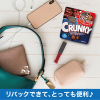 チョコレート菓子 クランキービッグパウチ　ザクザククッキー　72g 1セット（1個×12）