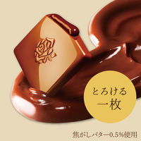 チョコレート菓子 プレミアムガーナ　濃厚生チョコレート　芳醇ミルク　12枚入 1セット（1個×6）