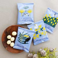 チョコレート 個包装 お配り菓子 ダラゴアコーヒービーンズチョコホワイト 200g 1セット（1個×3） オリジナル