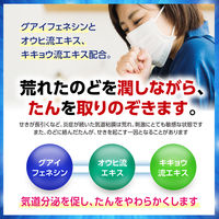 パブロンせき止め液 120ml 大正製薬 せき たん【指定第2類医薬品】