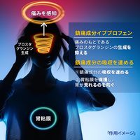 イブクイック頭痛薬 84錠 エスエス製薬 生理痛 頭痛 歯痛 咽喉痛 関節痛 筋肉痛 神経痛 腰痛 肩こり痛【指定第2類医薬品】