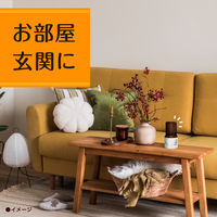 スッキーリ！ お部屋用 消臭剤 芳香剤 置き型 ほがらかなキンモクセイ 400mL 1セット（1個×2） アース製