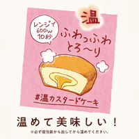 チョコレート菓子 カスタードケーキ　パーティーパック　9個入 1セット（1個×6）