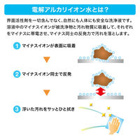 サンワサプライ  OAウェットティッシュ（パソコン用） CD-WT1KL2（直送品）