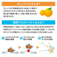 サンワサプライ  OAウェットティッシュ（強力タイプ） CD-WT6K2（直送品）