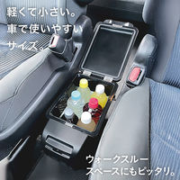 池商 車載用保冷温庫 6リットル RA-RS6 ブラック 1台（直送品）