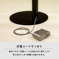 電響社 スティッククリーナースタンド DCSーM10NーBK 1台