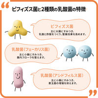 新ビオフェルミンS錠 48錠 大正製薬 乳酸菌 整腸