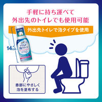 プリザ マイルド泡クリーン 80mL 大正製薬 痔疾の場合の肛門の殺菌・消毒 しみにくいノンアルコールタイプ【第2類医薬品】