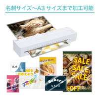 ナカバヤシ パーソナルラミネーター めちゃ簡単 イージーラミ エコノミーA3 NEL-E01A3W 1台