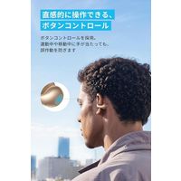 Anker Soundcore C40i(ローズゴールド) A3331NB1 1個