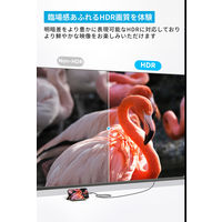 Anker Nano USBーC & HDMI ケーブル(4K 高耐久ナイロン)0.9m A87E0011 1本