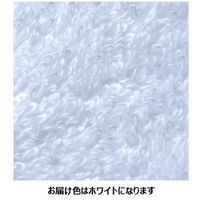 田中産業 今治製 タオルハンカチ ホワイト 1セット(10枚)