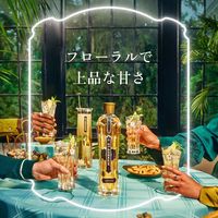 フランス サンジェルマン エルダーフラワー リキュール 20度 750ml 1本 正規品 サッポロビール