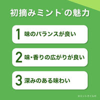グリーンガム（業務用）1箱(100枚入) ロッテ 板ガム ミントガム（わけあり品）