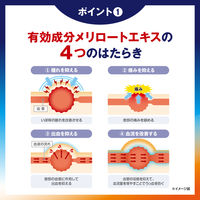 プリザ Gカプセル 24カプセル 大正製薬 いぼ痔 痔の出血・痛み・はれ【第2類医薬品】