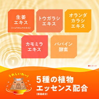 入浴剤 薬用 粉末 バスロマン ホットヴィヒタの香り 600g 発汗 1セット（1個×2） 湯色 色付き透明タイプ アース製薬