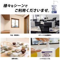 医食同源ドットコム アルコールハンドスプレー 1000mL 1個