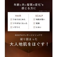 BOTANIST（ボタニスト）ルース シャンプーFI ストレート（10周年限定詰替10％増量タイプ） 440ml I-ne
