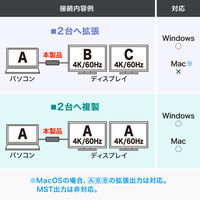 サンワサプライ USB Type CーHDMI変換アダプタ(2ポート/4K対応) AD-ALCMST2HD2 1個（直送品）