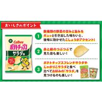 ポテトチップス 食べきりサイズ ポテトチップス サラダ味 53g  1セット（1個×12）