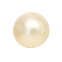 シャルドネ オイルインバスパール 1セット（1箱（12個入）×2） 入浴剤 グローバルプロダクトプランニング