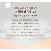 オムニ EMS&RF リフトブラシボーテ OMC-BTHA003 1台（直送品）