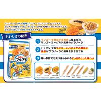 フルグラ マンゴー＆パパイヤ 550g  2袋 カルビー