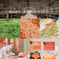 宮崎県産 有田牛 リブローススライス 800g ギフトカード スタンダード封筒 御礼 熨斗 D2-ACS9031-cd-orei（直送品）