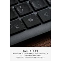 エレコム キーボード マルチペアリング 充電式 フルサイズ パンタグラフ式 ブラック TK-PN10FMPABK 1個（直送品）