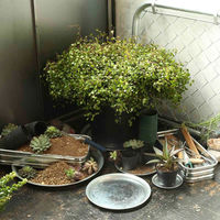 ダルトン DULTON 鉢皿 ガルバナイズドラウンドトレー S 471725 1個（直送品）