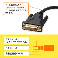 サンワサプライ  DVI-DisplayPort変換アダプタ（4K/30Hz） AD-DVDP01（直送品）
