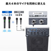 サンワサプライ  ワイヤレスマイク付き拡声器スピーカー（最大40W） MM-SPAMP21（直送品）