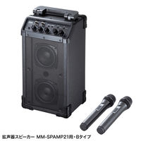 サンワサプライ  ワイヤレスマイク（MM-SPAMP21用・Bタイプ） MM-SPHMW7B（直送品）