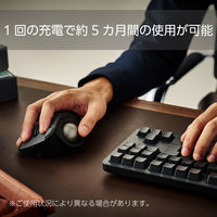 交換用バッテリー 3.7V 600mAh リチウムイオン電池 ブラック M-BP10 エレコム 1個（直送品）