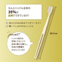 インスタントハブラシ バイオマス 1箱（20本）キャリン