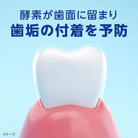 ライオン クリニカPROオールインワンハミガキ フレッシュクリーンミント 95g 408249 1本（わけあり品）
