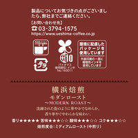 UCC上島珈琲 ウエシマコーヒー 横浜焙煎 モダンロースト SAP 1袋（140g） コーヒー粉