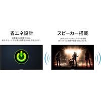 JAPANNEXT 31.5インチ ワイド 4K液晶モニター JNーV3152UHDRーG 1台