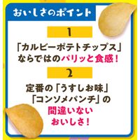 スナック菓子　 ポテトチップス　コンソメパンチ　たべよんパック　24g×4袋入 1セット（1個×6）