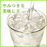 伊藤園 やみつき白ぶどうソーダ 350ml 1セット（48缶）