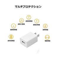 ビットストロング TypeーA・2A出力USB充電アダプター 50個入 BS-JAC2012-S50 1箱(50個) 65-3977-74（直送品）