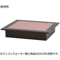 スギコ産業 ブッフェウォーマー雅1/2 67-8155-97 1台（直送品）