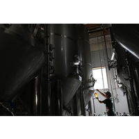 クラフトビール 常陸野ネストビール ホワイトエール 缶 350ml 1本