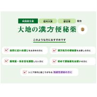 大地の漢方便秘薬 120錠 アリナミン製薬 便秘 漢方便秘薬 大黄甘草湯 腸内異常発酵【第2類医薬品】