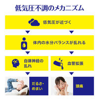 テイラック 24錠 五苓散（ごれいさん） 低気圧　頭痛 むくみ 漢方薬 小林製薬【第2類医薬品】